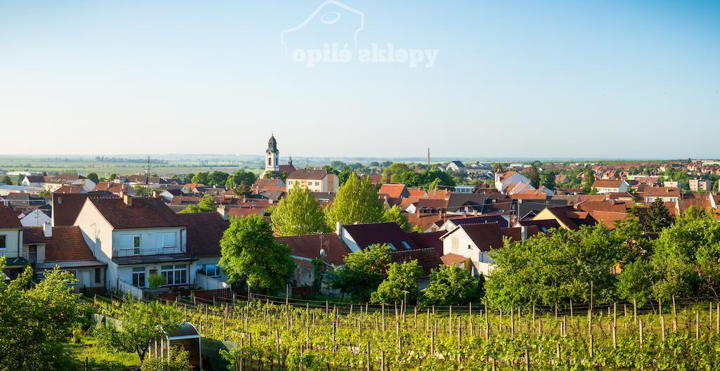 Opile Sklepy *